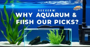 Why Trust Our Picks