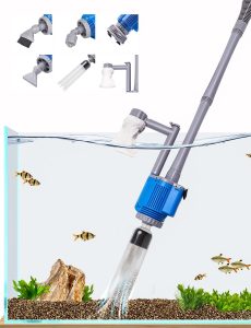 Best Algae Eater Fish for Your Aquarium: 2026 Guide