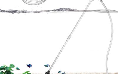 Best Aquarium Gravel Vacuum: Top Picks for Clean Tanks 2026