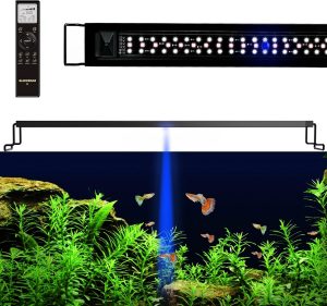 Best Aquarium LED Light: Top Picks for Fish and Plants 2026