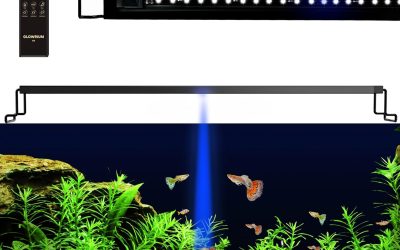 Best Aquarium LED Light: Top Picks for Fish and Plants 2026