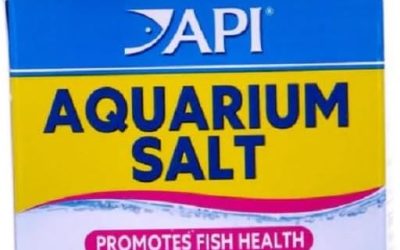 Aquarium Salt for Betta Fish: Uses, Risks & Best Picks 2026