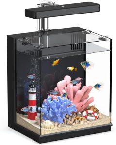 Best Betta Fish Tank: Top Picks for Beginners 2026
