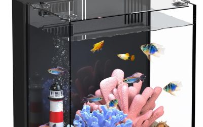 Best Betta Fish Tank: Top Picks for Beginners 2026