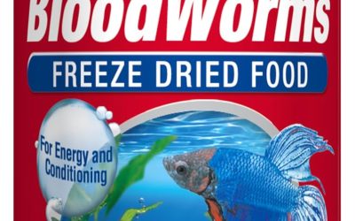 Best Bloodworms for Fish: Freeze-Dried vs Frozen Guide 2026