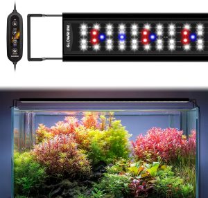 Freshwater Planted Aquarium: Setup Guide and Best Products 2026