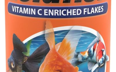Best Goldfish Food: Top Picks for Healthy Goldfish 2026
