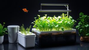 Aquaponics System for Beginners: How to Grow Fish and Plants Together
