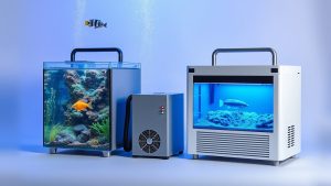 Best Aquarium Chillers: Keeping Your Tank Cool for Cold Water Fish