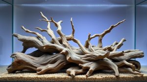 Best Aquarium Driftwood for Natural Tank Decor