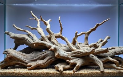 Best Aquarium Driftwood for Natural Tank Decor