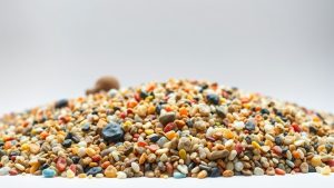 Best Aquarium Gravel: Top Picks for Every Tank in 2026
