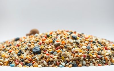Best Aquarium Gravel: Top Picks for Every Tank in 2026