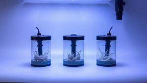 Best Aquarium Wave Makers: Top Circulation Pumps for Reef and Planted Tanks