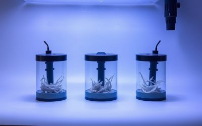 Best Aquarium Wave Makers: Top Circulation Pumps for Reef and Planted Tanks