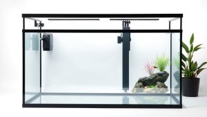 Best 120 Gallon Fish Tank Stand 2026