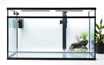 Best 120 Gallon Fish Tank Stand 2026