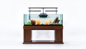 Best 125 Gallon Fish Tank And Stand 2026