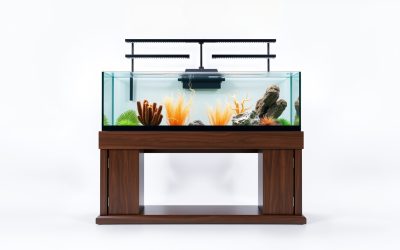 Best 125 Gallon Fish Tank And Stand 2026