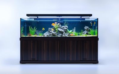Best 150 Gallon Fish Tank Stand 2026