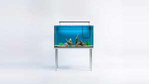 Best 29 Gallon Fish Tank And Stand 2026