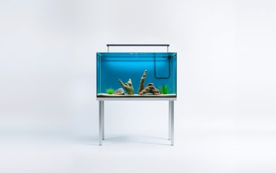 Best 29 Gallon Fish Tank And Stand 2026