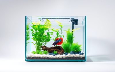 Best 3 Gallon Fish Tank For Betta 2026