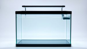 Best 30-Gallon Fish Tank Stand 2026