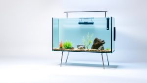 Best 30 Gallon Fish Tank With Stand 2026