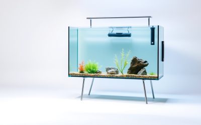 Best 30 Gallon Fish Tank With Stand 2026