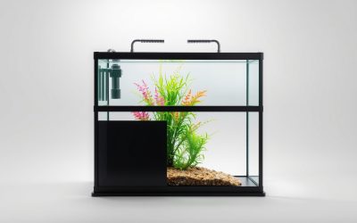 Best 40 Gallon Breeder Fish Tank Stand 2026