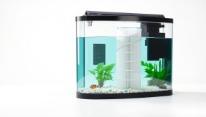 Best 40 Gallon Filter For Aquarium 2026