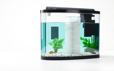 Best 40 Gallon Filter For Aquarium 2026