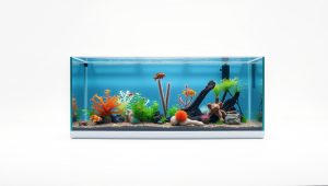 Best 55 Gallon Aquarium Background 2026