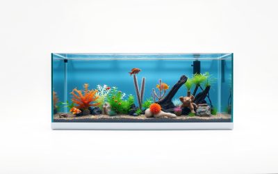 Best 55 Gallon Aquarium Background 2026