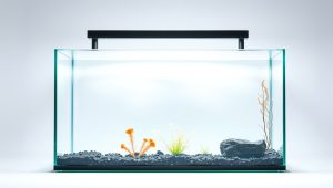 Best Aquarium Background Glue 2026