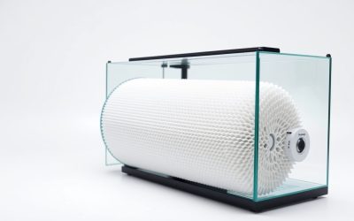 Best Aquarium Filter For 55 Gallon Tank 2026