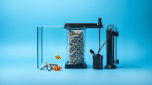 Best Aquarium Filter Media: Top Picks for Clear, Healthy Water