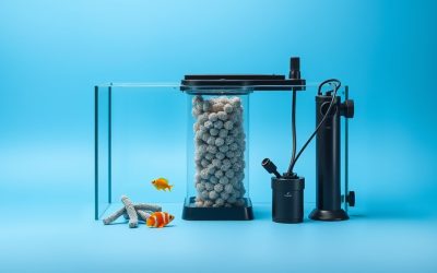 Best Aquarium Filter Media: Top Picks for Clear, Healthy Water
