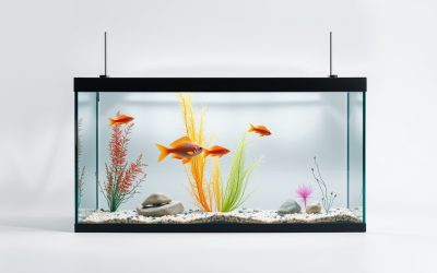 Best Aquarium Fish Tank Background Poster 2026