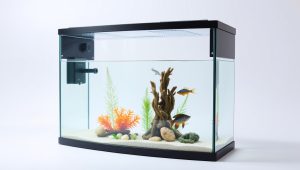 Best Aquarium Fish Tank Divider 2026