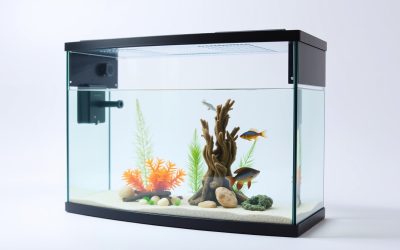 Best Aquarium Fish Tank Divider 2026