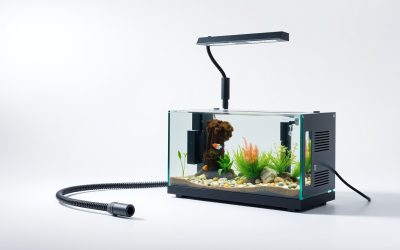 Best Aquarium Pressurized Co2 System 2026