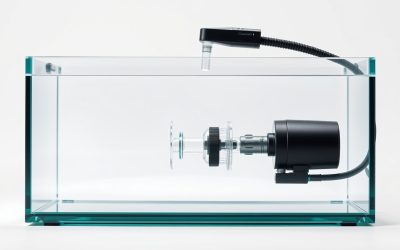 Best Aquarium Siphon 2026