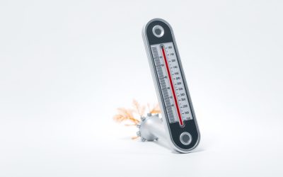 Best Aquarium Strip Thermometer 2026