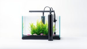 Best Co2 System For Aquarium 2026