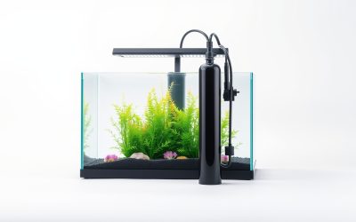 Best Co2 System For Aquarium 2026