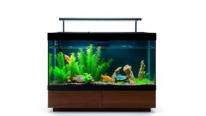 Best Corner Fish Tank On Stand 2026