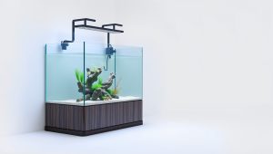 Best Corner Fish Tank Stand 2026