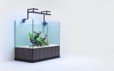 Best Corner Fish Tank Stand 2026